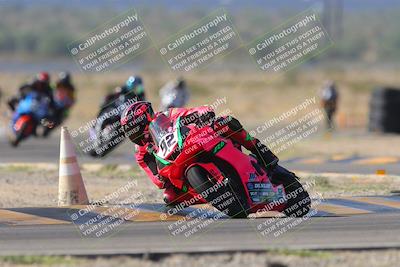 media/Oct-08-2023-CVMA (Sun) [[dbfe88ae3c]]/Race 2 Supersport Middleweight (Shootout)/